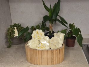 Sabonete de camomila