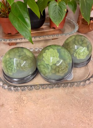 Sabonete Meia Esfera de Suculentas